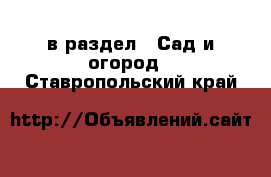  в раздел : Сад и огород . Ставропольский край